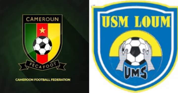 Article : La Fecafoot, le championnat et les œufs d&rsquo;or…