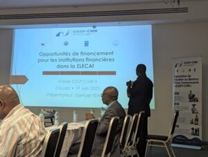 Article : Financer l’Afrique que nous voulons : carnet de bord d’un atelier stratégique à Douala